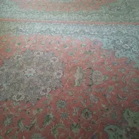 فرس ۹متری