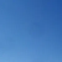 گمشده کبوتر