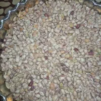 لوبیا چیتی ارگانیک محلی