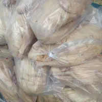 مرغ و خروس و بوقلمون محلی|خوردنی و آشامیدنی|رشت, بازار|دیوار