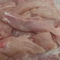 شینسل مرغ شمال ماهی میگو