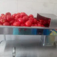 آبگیری گوجه ولیمو