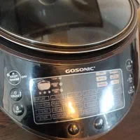 پلوپز ۳۰ کاره گاسونیک|اجاق گاز و لوازم برقی پختوپز|تهران, هفت چنار|دیوار