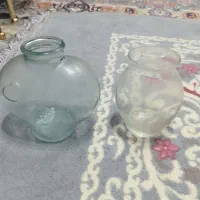 دو عدد تنگ ماهی نونو