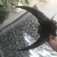 شاخ دوبور بز