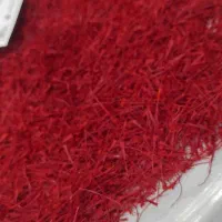 خرید و فروش گل زعفران