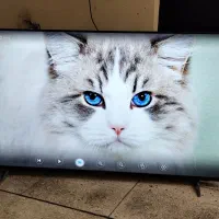 فروش تخصصی تلویزیون LED نو و دست دو زیرقیمت بازار|تلویزیون و پروژکتور|آمل, |دیوار