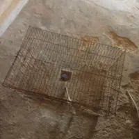 قفس