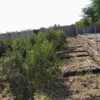 باغچه ۷۶۰ متری جاده دشت سبز|فروش خانه و ویلا|ورامین, قويينک زهری|دیوار