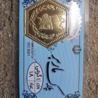 سکه پارسیان ماربر