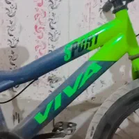 دوچرخه ویوا حرفه ایی کوهستانی|دوچرخه، اسکیت، اسکوتر|بندرعباس, |دیوار