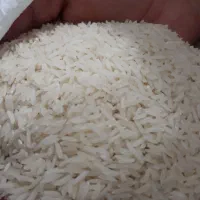 فروش برنج هاشمی اصل|خوردنی و آشامیدنی|پارس‌آباد, |دیوار