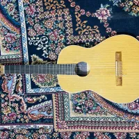 گیتار فروشی مدل تو عکس معلومه