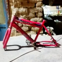 تنه دوچرخه ۱۶