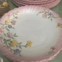 ظروف ارکوپال اصل فرانسه در حد نو