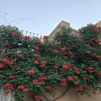 خانه2طبقه-ویلایی140متری-درب-حیاط-خاقانی-لوکیشن-قوی