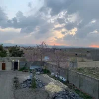 یک شاخه آهن ۱۴