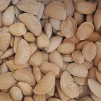 بادام آبی|خوردنی و آشامیدنی|شیراز, شریف‌آباد|دیوار