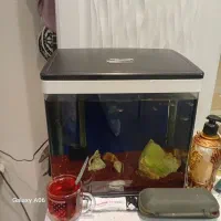 آکواریوم درحد نو