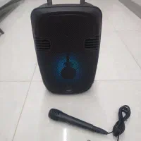 اسپیکر و میکروفون
