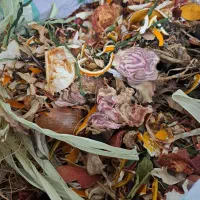 حیوانات مزرعا