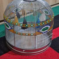 قفس|لوازم جانبی حیوانات|ملارد, |دیوار