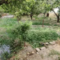 خانه باغ ۶۰۰ متری در روستایی آرام و دنج