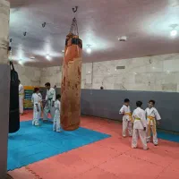 آموزش تخصصی کیوکوشین و دفاع شخصی کاربردی|خدمات آموزشی|مشهد, کوشش|دیوار