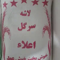 سر لاشه فجر|خوردنی و آشامیدنی|گنبد کاووس, |دیوار