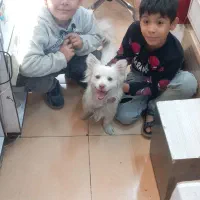 توافقی به فروش می‌رسد