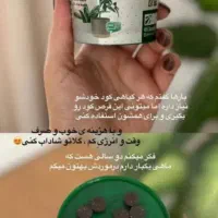 قرص ارگانیک|گل و گیاه طبیعی|لار, |دیوار