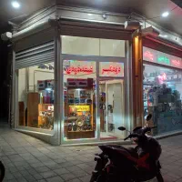شیشه دودی دزدگیر خودرو الفا