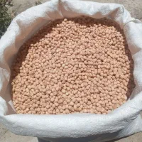 نخود عدس لوبیا
