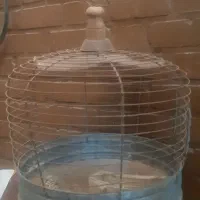قفس و آکواریوم
