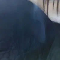 روکش صندلی پراید هاچ بگ