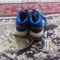 کفش والیبال 43 اورجینال اصل|کیف، کفش، کمربند|شاهرود, |دیوار