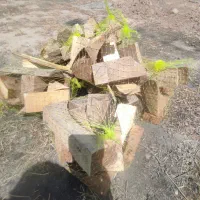 چوب بسته بندی باکیفیت جهت زغال وکباب