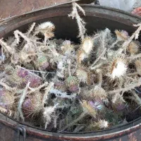 گلاب وعرقیات سنتی کاشان|عمدهفروشی|کاشان, شهرک صنعتی راوند|دیوار