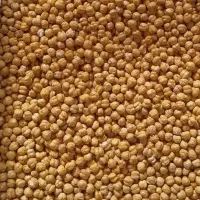 نخودچی و کشمش سبز امساله|خوردنی و آشامیدنی|قم, شهرک مهدیه|دیوار