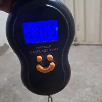 لوستر|لوستر و چراغ آویز|پاکدشت, حصار امیر|دیوار