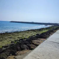 یک خوابه رو به دریا