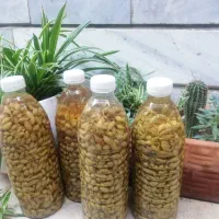 آبغوره و غوره شور