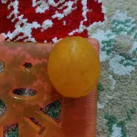 2قطعه سنگ یشم زردافغانستان