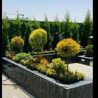 خدمات باغبانی قیمت مناسب از همه جای