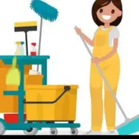 نظافت منزل آپارتمان ویلایی خانه باغ و...