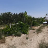 باغچه