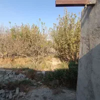 باغ نقلی چهار دیواری دیواربالای 5سال|فروش زمین و ملک کلنگی|صباشهر, |دیوار