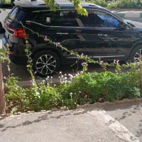 فردا تی5 مشگی 403 صفر|خودرو سواری و وانت|شهرکرد, |دیوار