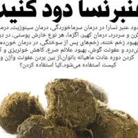 عنبر نسا الاغ ماده