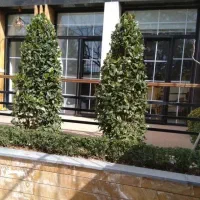 فازیک ویلایی ،۳خواب دوبلکس ،شهرک محلاتی